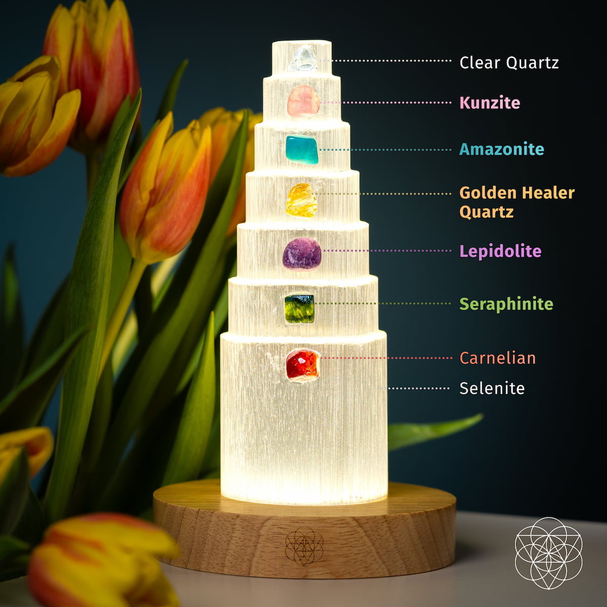 The Stress Shield Lamp