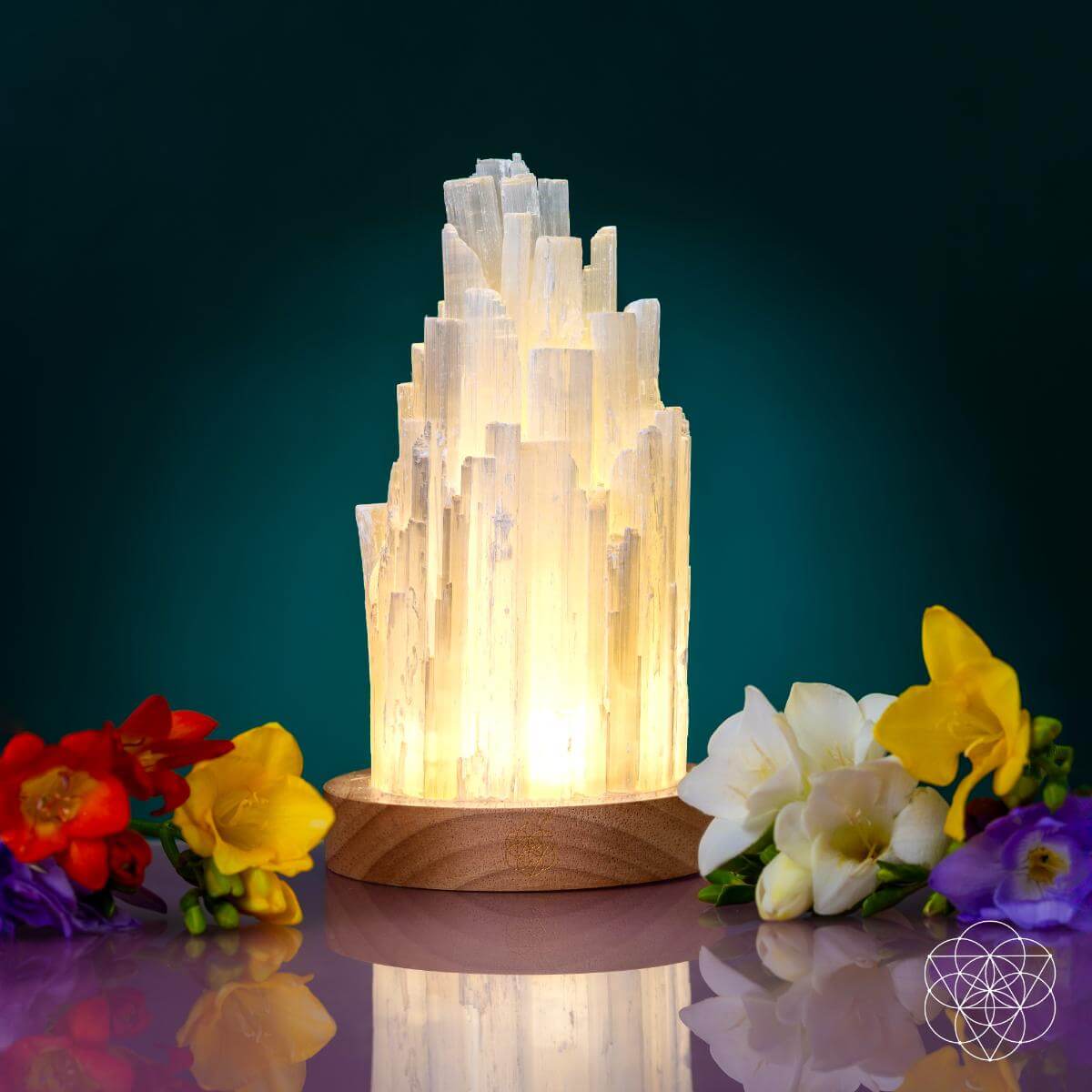 Selenite Lamp
