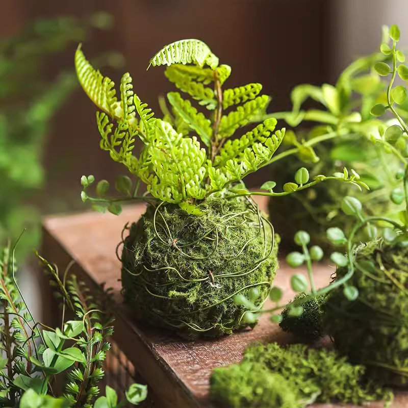 Mossy Meadow Foam Ball