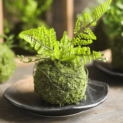 Mossy Meadow Foam Ball