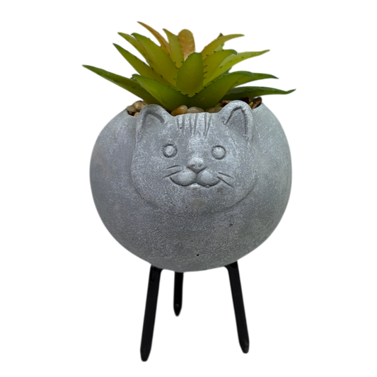 Faux Light Green Succulent In Planter - Cat