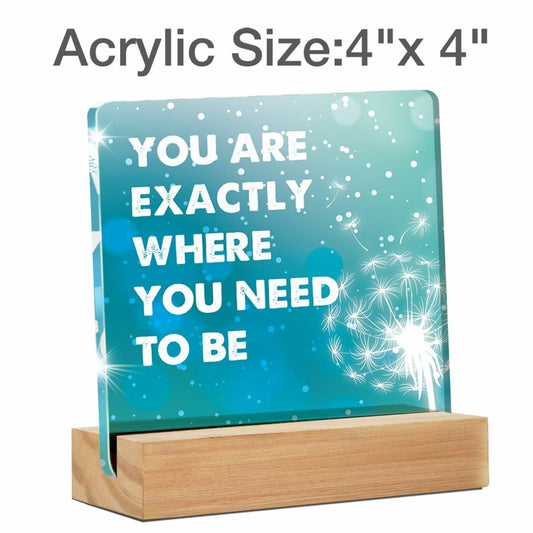 "You Are Exactly Where You Need To Be" Acrylic Desk Sign