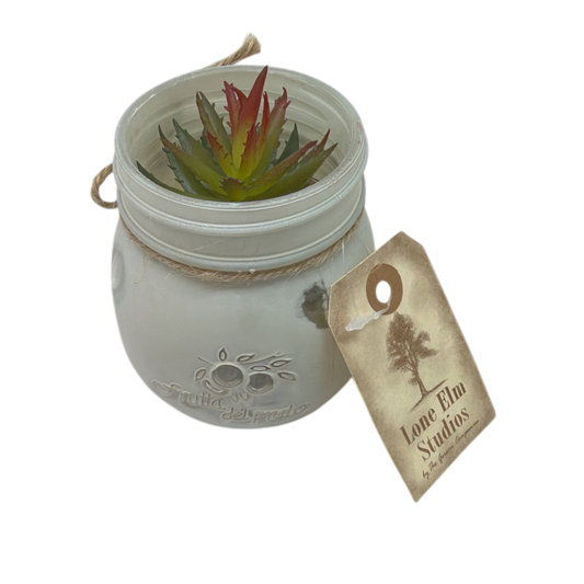 Faux Echeveria Succulent in Glass Jar